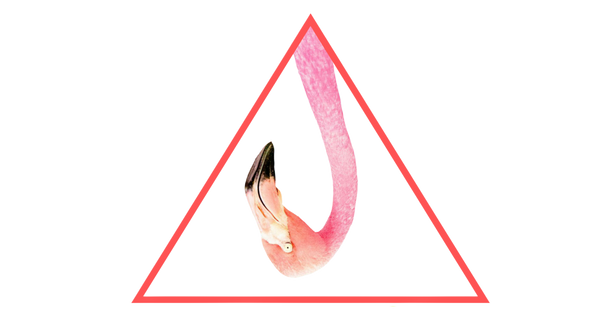 Freelife Miami
